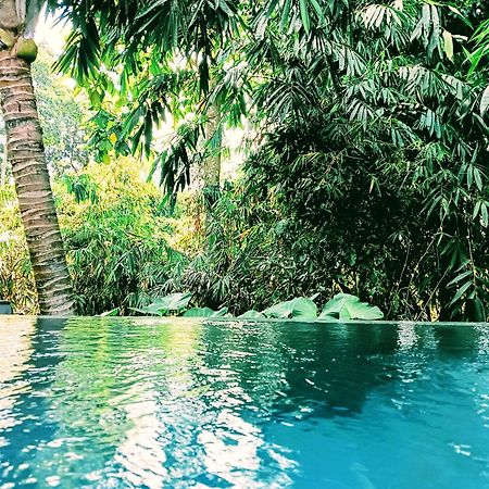 Ngesil Private Joglo & Pool Hotel อูบุด ภายนอก รูปภาพ