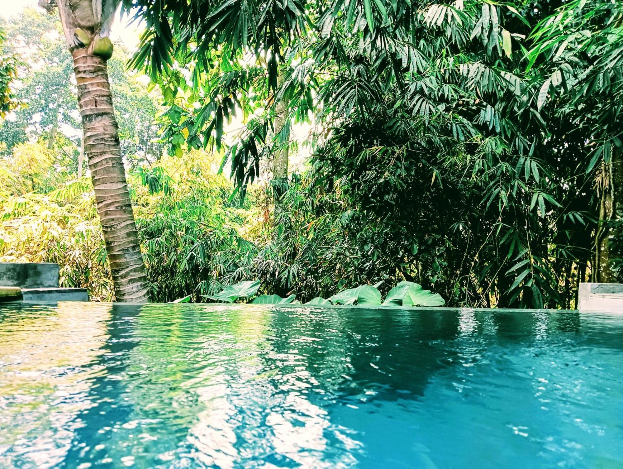 Ngesil Private Joglo & Pool Hotel อูบุด ภายนอก รูปภาพ